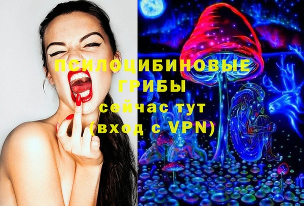 ешки Аркадак