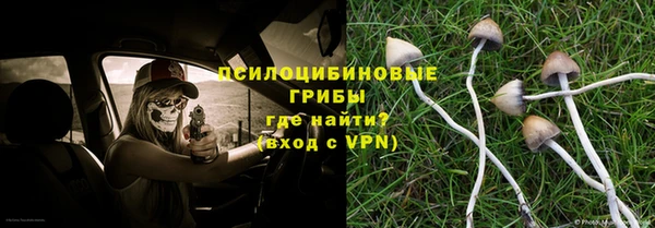 ешки Аркадак