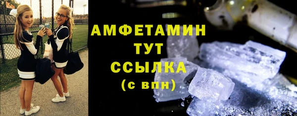 ешки Аркадак